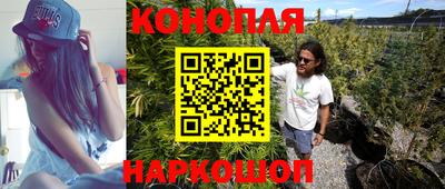 jwh Ярославль