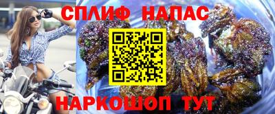 jwh Ярославль