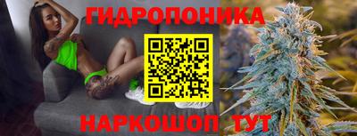 jwh Ярославль