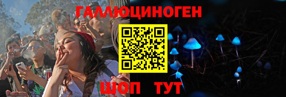 Владивосток  Псилоцибиновые грибы прущие грибы  Вход с VPN  Галлюциногенные грибы GOLDEN TEACHER 